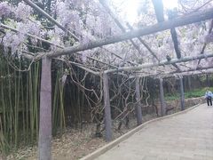 -红螺寺