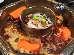 -蜀九香火锅(彩虹店)