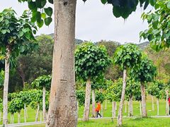 -三亚南山文化旅游区