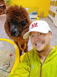 -神奇动物撸宠馆·羊驼·小浣熊·异宠(豫园店)