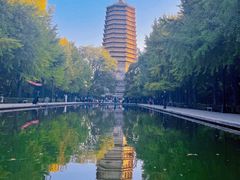 -玲珑塔公园