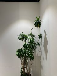 -CRAIE可瑞医美式医美·111SKIN