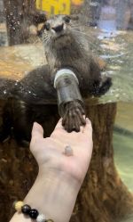 -Zoolung Zoolung动物主题公园(海信广场店)