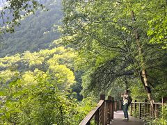 -叠溪松坪沟景区