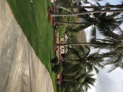 iphone_upload_pic-三亚亚龙湾金棕榈度假酒店