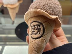 -野人先生现做冰淇淋(北京环宇荟店)