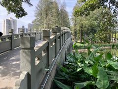 -四海公园(南山区)