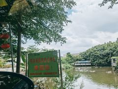 -伟记牛蹄(道滘店)