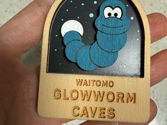 -怀托摩萤火虫洞