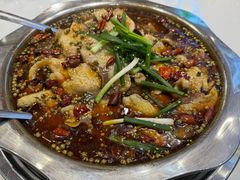 -乡土特色.冷锅鱼.牦牛肉汤锅