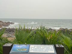 -广东惠东海龟国家级自然保护区