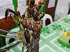 -D'Talipapa
