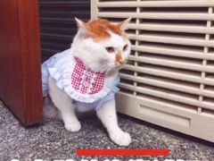 -CLUE演绎实景剧本杀(江南西店)