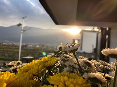 -翠田Green Field Kitchen