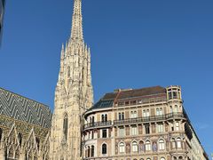 -斯蒂芬主教座堂(Stephansdom)