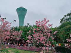 -狐尾山公园