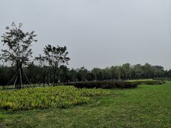 -洨河生态公园