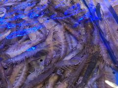-澜悦港海鲜体验主题餐厅
