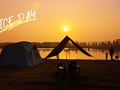 -春花秋色城市公园