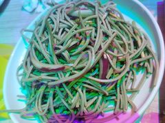 -南中轴熊猫范大食堂