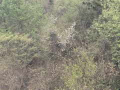 -紫金山索道-售票处