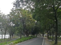 -海珠湖公园