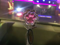 -枫花园汽车电影院(朝阳公园店)