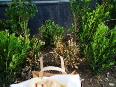 -三阳盛(南京西路店)