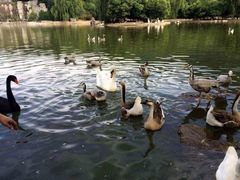 -西安秦岭野生动物园