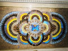 -上海昆虫博物馆