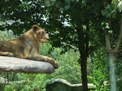 -北京野生动物园