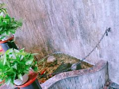 -堂客老火锅(大城小爱店)