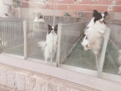 -南昌动物园