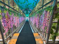 -浏阳石牛寨风景区