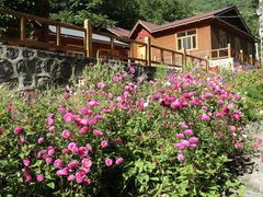 景点-大岭沟猕猴桃谷风景区