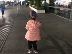 -厦门高崎国际机场-T3航站楼