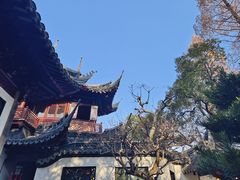 -豫园