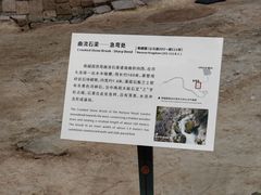 -南越王博物院(王宫展区)