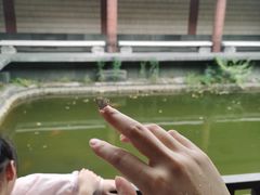 -浙江省博物馆(孤山馆区)
