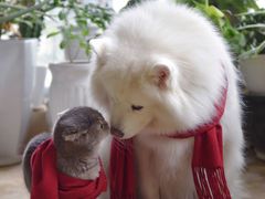 -大米先生(韶山南路店)