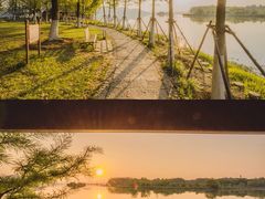 -东湖落雁景区