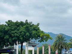 -飞来湖湿地公园