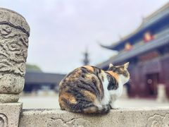 -西园寺素食(西园弄戒幢律寺店)