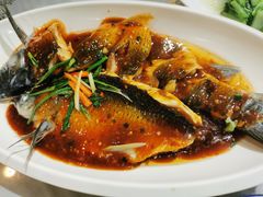 三新全鱼-邀月楼(新华路店)