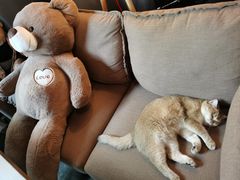 -咖法森林·咖啡  酒吧(天河店)