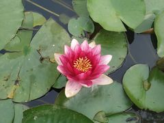 -昆山城市生态森林公园