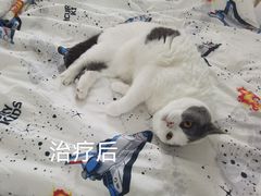 -立德动物医院·重症转诊·24H夜诊·CT·心脏彩超(顺德中心分院)