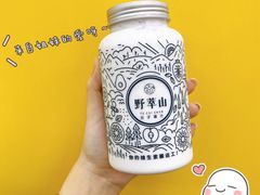 -野萃山·潮汕厚果汁(十亩地店)