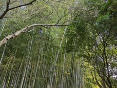 -秋霞圃