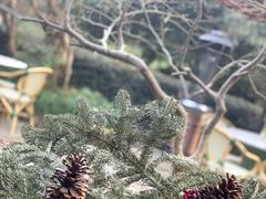 -三嚥阁 La Villa Restaurant
